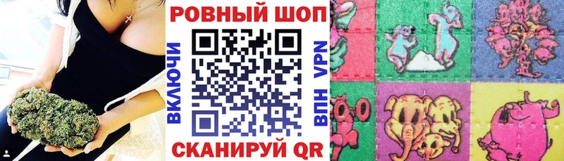 Где можно купить наркотики Новосиль ГАШИШ APVP Мефедрон АМФ КОКАИН кракен рабочий сайт Марихуана