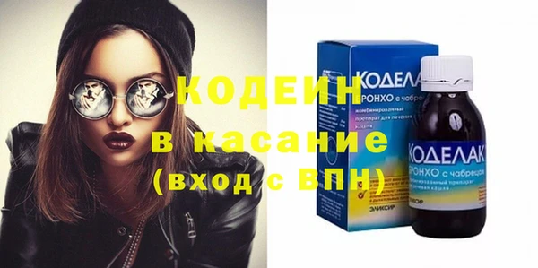 молекула духа Богданович