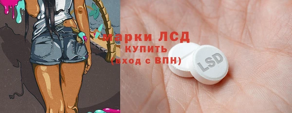 молекула духа Богданович