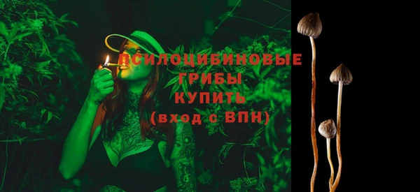 СК Богородск