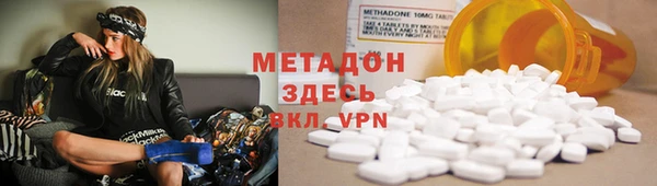молекула духа Богданович