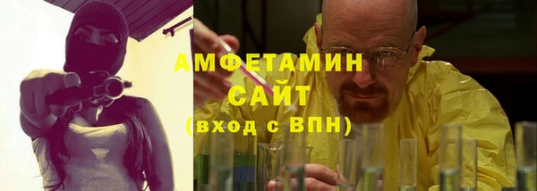 молекула духа Богданович