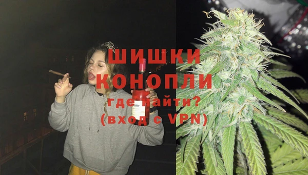 СК Богородск