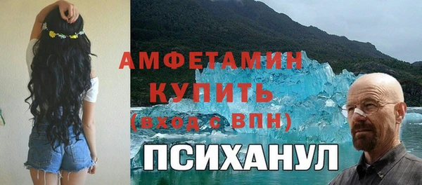 молекула духа Богданович