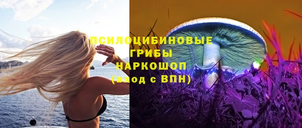ПСИЛОЦИБИНОВЫЕ ГРИБЫ Богородицк