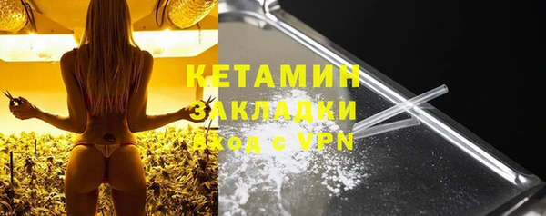 молекула духа Богданович