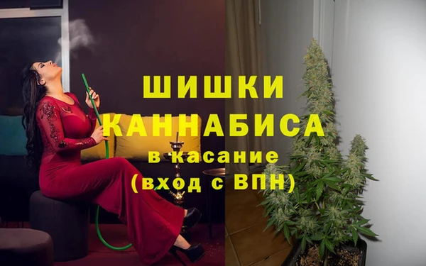 ПСИЛОЦИБИНОВЫЕ ГРИБЫ Богородицк